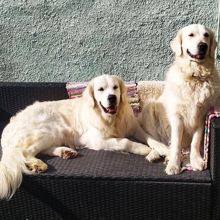 Polny Zakatek - Pokoje Goscinne Rybnica Bagian luar foto