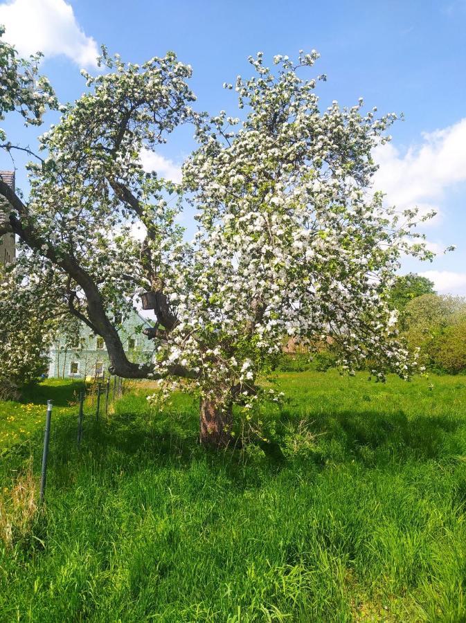 Polny Zakatek - Pokoje Goscinne Rybnica Bagian luar foto