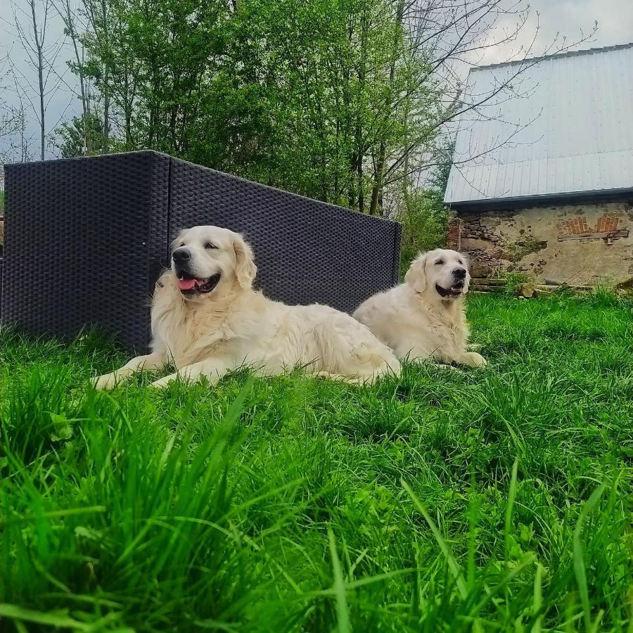 Polny Zakatek - Pokoje Goscinne Rybnica Bagian luar foto